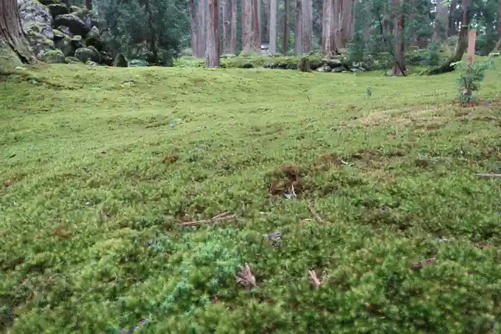 平泉寺白山神社(福井県)