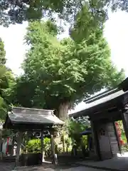 荏柄天神社(神奈川県)