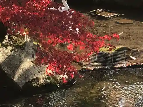 南禅寺(京都府)