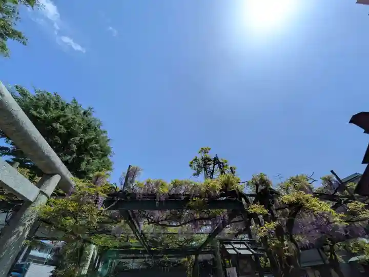 國領神社(東京都)