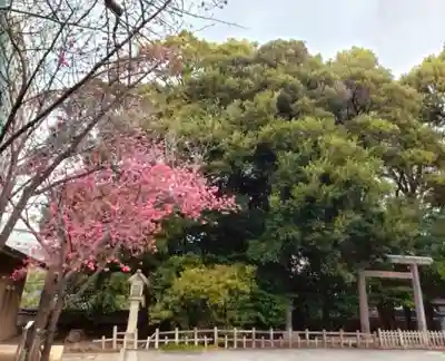 靖國神社(東京都)