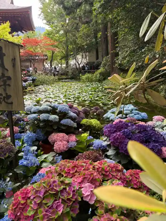 室生寺(奈良県)
