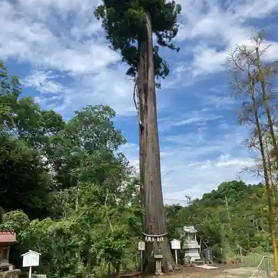 鶴峯八幡宮の自然