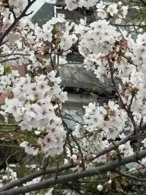 霊巌寺(東京都)