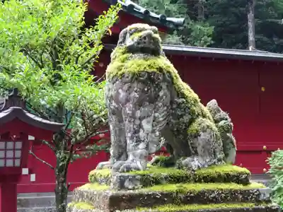 箱根神社の狛犬