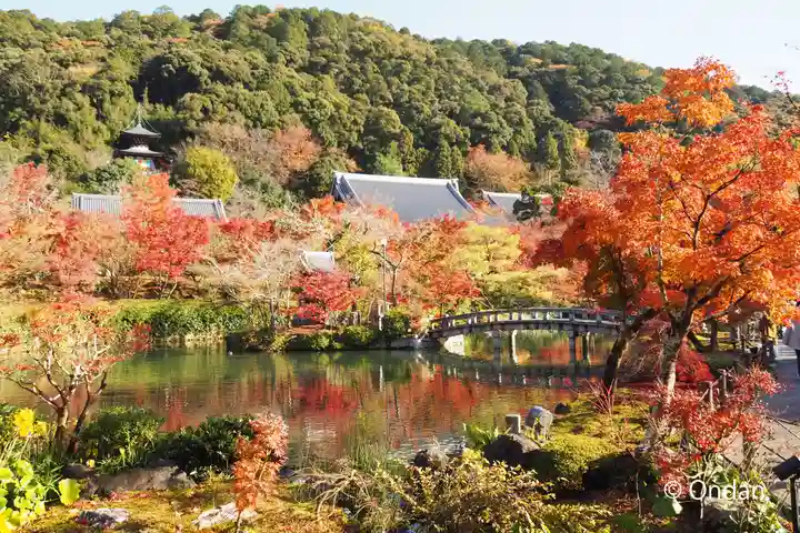 禅林寺(永観堂)(京都府)