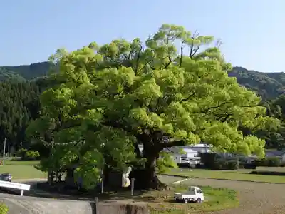 速雨神社の自然