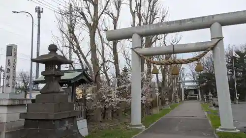 鳥取神社の鳥居