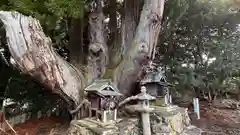 八坂神社(京都府)