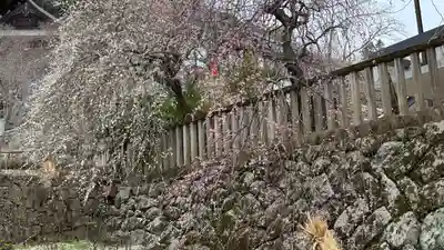 長谷寺(奈良県)