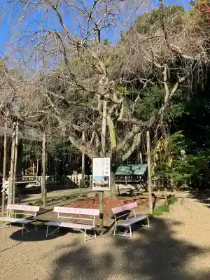 常陸第三宮　吉田神社(茨城県)
