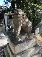 荒井神社の狛犬