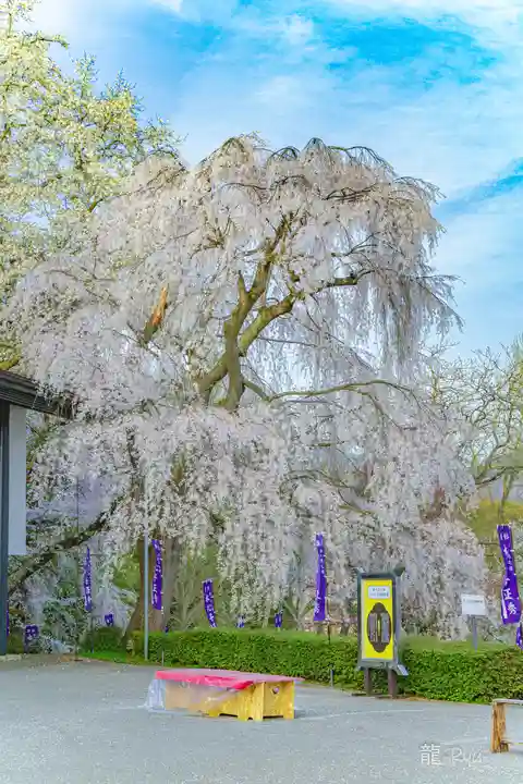 烏帽子山八幡宮(山形県)