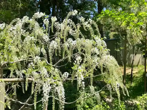 歌泉堂（春日大社神苑萬葉植物園内鎮座）(奈良県)
