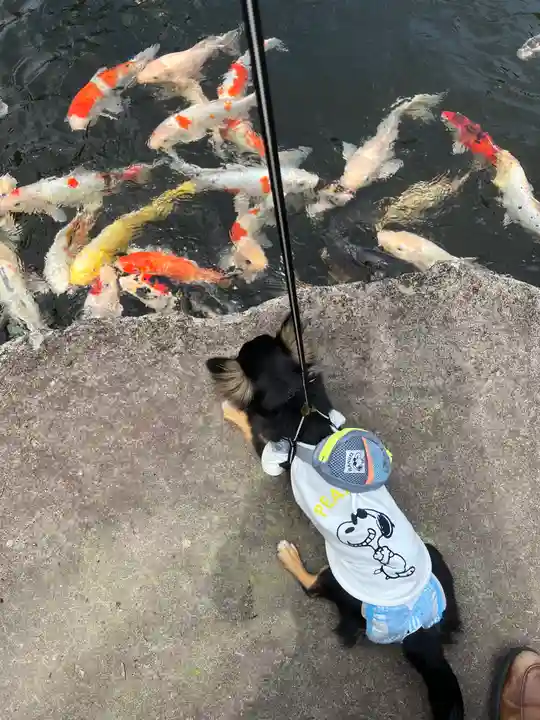 大室山龍渓院の庭園