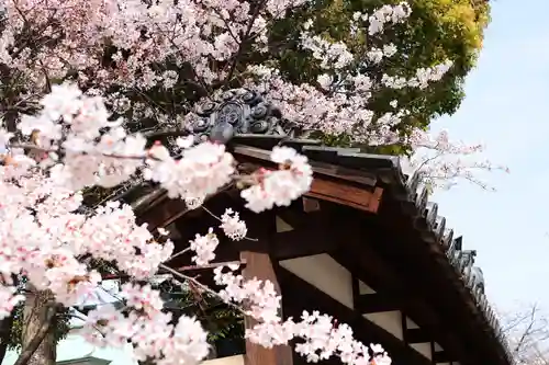 三津厳島神社の景色