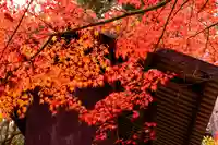 新海三社神社(長野県)