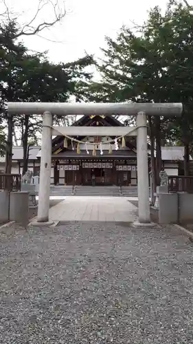 新琴似神社の鳥居