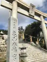 亀山八幡宮の鳥居