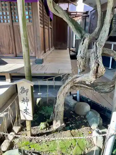 恵勝寺(千葉県)