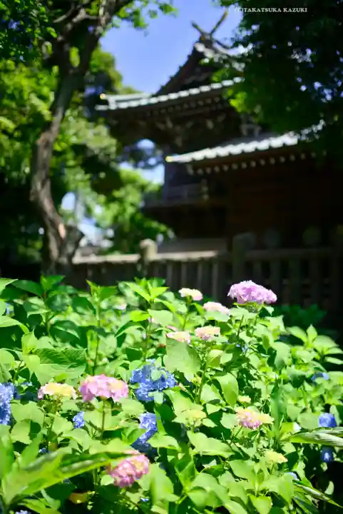 白山神社(東京都)