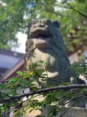 鶴峯八幡宮の狛犬