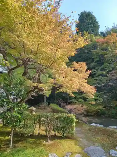 御寺 泉涌寺の景色