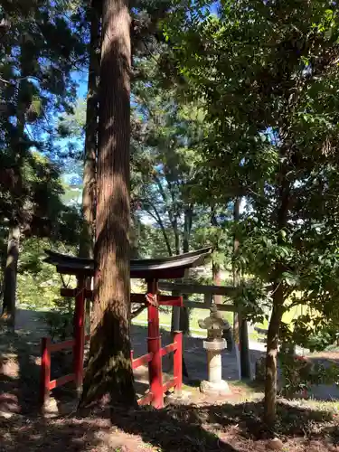 大宮温泉神社(栃木県)