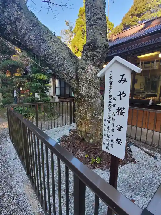 息栖神社の歴史