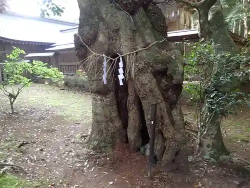 倭文神社の建物その他