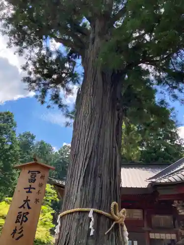 北口本宮冨士浅間神社の自然