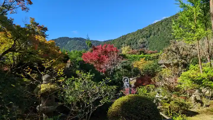 実光院(京都府)