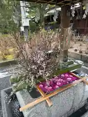 白山神社(新潟県)