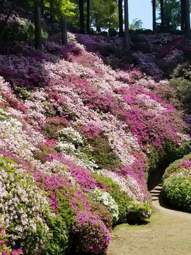 大興善寺の景色