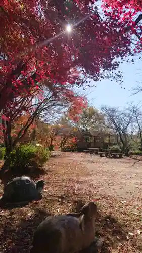 玉野御嶽神社の狛犬