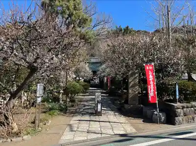 常立寺(神奈川県)