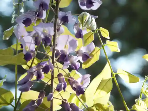 立木神社の自然