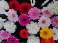 金峯神社(新潟県)