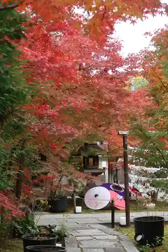 勝林寺(京都府)