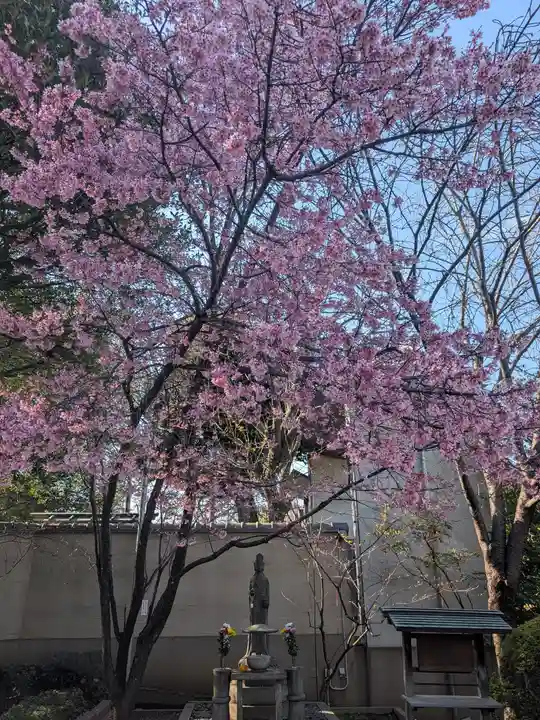天王寺(東京都)