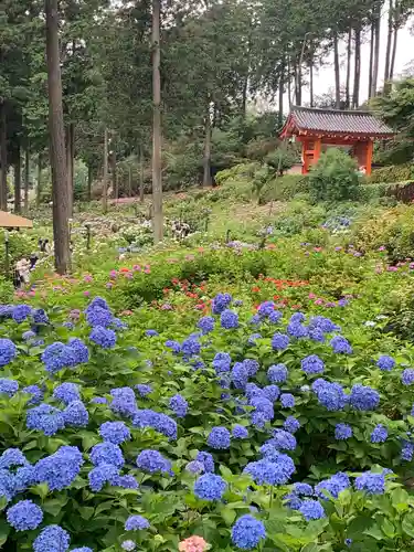 三室戸寺の庭園