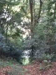 八坂神社/富士浅間神社の周辺