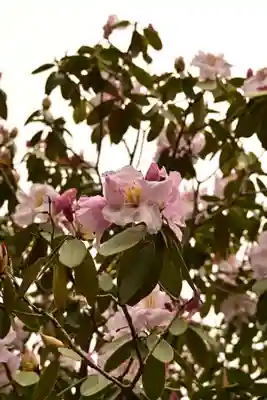 正福寺(茨城県)