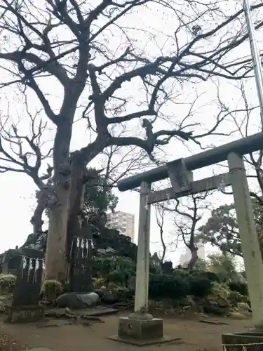 飯香岡八幡宮(千葉県)
