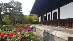 建仁寺（建仁禅寺）の自然