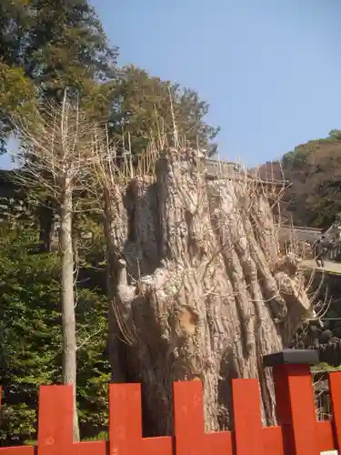 鶴岡八幡宮のその他建物