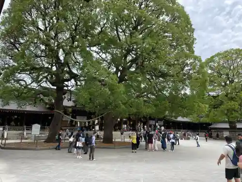 明治神宮(東京都)