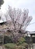 松陰神社の{uncategorized: "未分類", other: "その他", undefined: "問題あり", building: "その他建物", grave: "お墓", sacred_gate: "鳥居", guardian: "狛犬", statue: "像", buddha: "仏像", history: "歴史", nature: "自然", garden: "庭園", animal: "動物", pagoda: "塔", temizu: "手水舎", mountain_gate: "山門・神門", sanctuary: "本殿・本堂", subordinate: "末社・摂社", art: "芸術", scenery: "景色", jizo: "地蔵", ema: "絵馬", goshuin: "御朱印", omikuji: "おみくじ", items: "授与品その他", amulet: "お守り", goshuincho: "御朱印帳", eats: "食事", festival: "お祭り", votive_dance: "神楽", shichigosan: "七五三参", wedding: "結婚式", experience: "体験その他", initially: "初詣", around: "周辺", anti_infection: "感染症対策"}