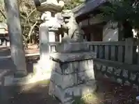 中村八幡宮の狛犬
