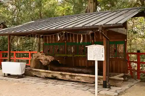 賀茂御祖神社（下鴨神社）の手水舎